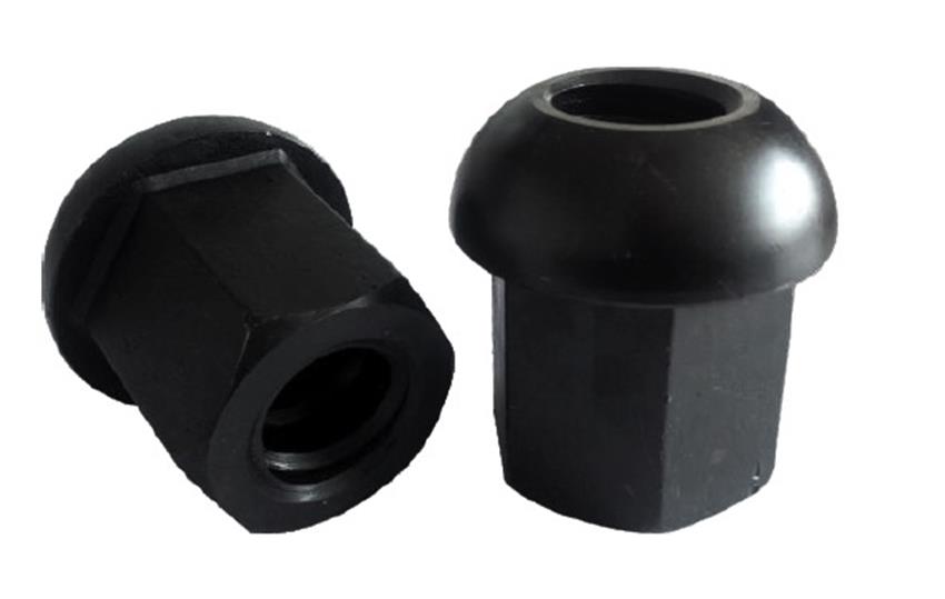 Domed NutĢ^ĸ.jpg
